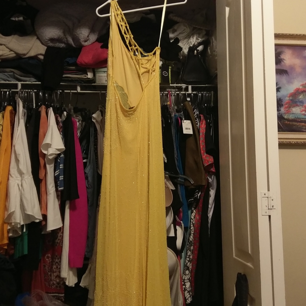 Fine Quality Fashions by Debra Sunburst Gown